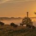 Digital transformation in Philippine agribusiness: A look at Australia
