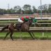 Profit Plays: How Sportsbooks Drive Financial Innovation in Business