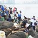 Together for our oceans: June 7 coastal cleanup
