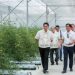 Marcos visits largest PHL greenhouse