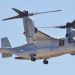 Philippine, US soldiers hold exercises in bomb disposal under Balikatan
