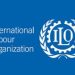ILO offers digital upskilling for youth in construction