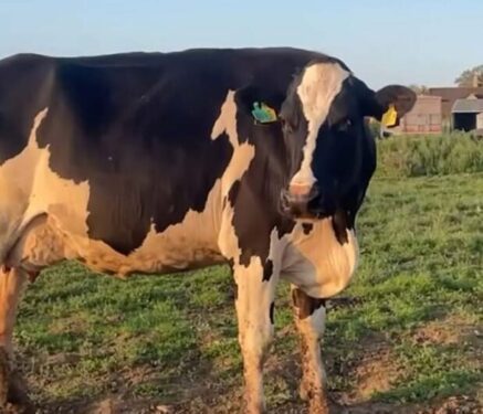 Jeremy Clarkson devastated as Diddly Squat Farm hit by TB outbreak
