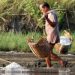Flavored salt touted as opportunity for coastal producers to add value