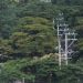 IPPs commit to capacity boost in support of full electrification