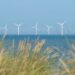 Crown Estate matches record profits on windfarm windfall but warns boom is temporary