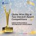Globe Wins Big at Two Stevie® Award Competitions for Employer Excellence and Technology Innovation
