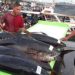Sustainability of PHL tuna seen at risk after SC ruling