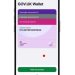 DVLA to roll out digital driving licences by end of year in major services overhaul