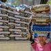 Marcos suspends rice imports for 60 days