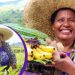 A salute to Filipina ‘agripreneurs’