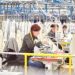 Best 5 Clothing Manufacturers in Florida for Custom Apparel