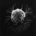 Biopsy won’t spread cancer, says medical expert