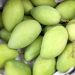 PHL pitches mango, abaca, seaweed investments at FAO forum in Rome