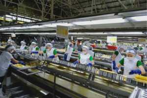 Del Monte Pacific profit soars on strong sales in PHL, int’l markets