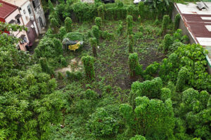 Budget realignments questioned