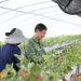 Philippines signs seasonal labor deal for farm workers with South Korea