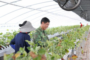 Philippines signs seasonal labor deal for farm workers with South Korea
