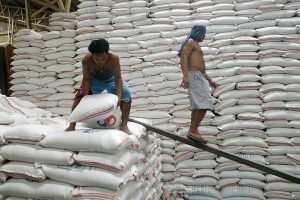 Korea-funded seed facilities to boost Philippine rice sector