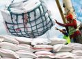 Marcos extends rice import ban through year-end to support farmers