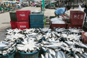 Fishport modernization seen unlocking enterprise potential