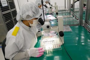 PHL semiconductor exports set for 5% growth next year