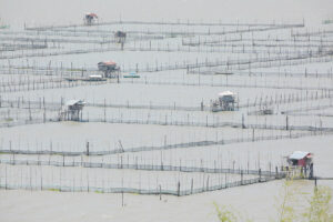 Agri output likely fell in Q3 led by fisheries; ASF concerns continue