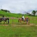 ALI opens horseback riding facility in Batangas estate