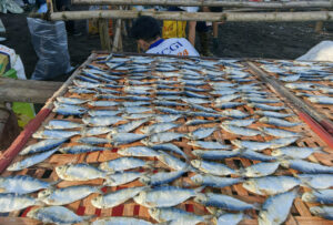 Agri output jumps 2.6% in 2025, fastest since 2017