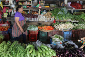Stronger action needed to stabilize food prices — Agri dep’t