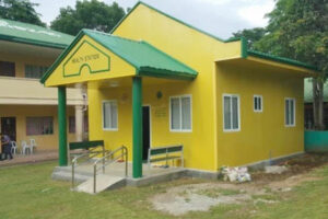 P1.19-T National Tax Allotment released to local governments