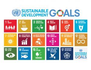 Missed sustainable dev’t goals estimated at 88% in Asia-Pacific