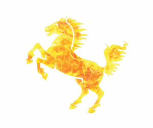 Following the blazing trail of the Fire Horse this 2026