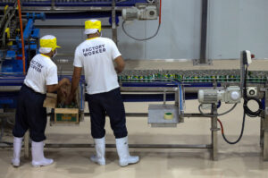 PHL manufacturing activity growth hits nine-month high in January