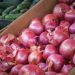 Red onion imports not deemed ‘overwhelming,’ Agri dep’t says