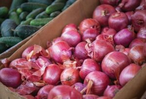 Red onion imports not deemed ‘overwhelming,’ Agri dep’t says