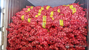 Onion import clearances frozen as harvest approaches peak