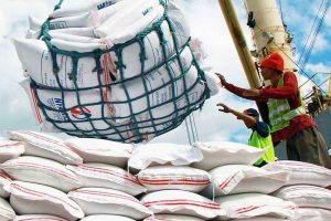 Rice imports top 700,000 MT as of late February